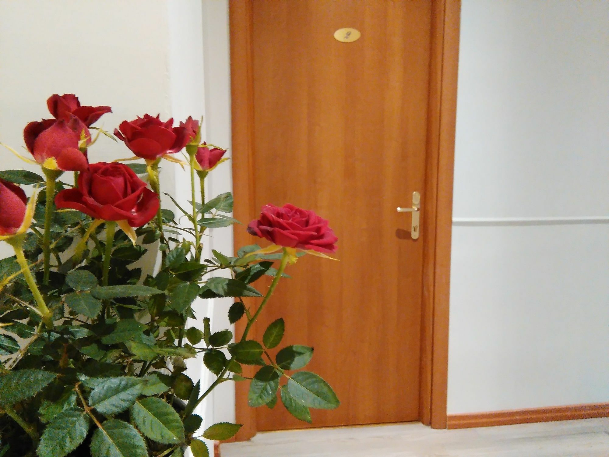 Villa Borghese Guest House Рим Экстерьер фото